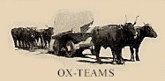 Ox Teams